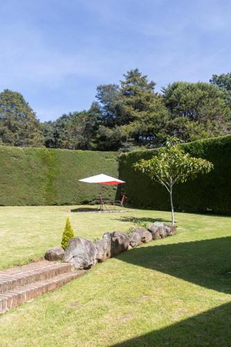 Garden, Villas Huitepec in San Cristobal De Las Casas Garden, Villas Huitepec in San Cristobal De Las Casas