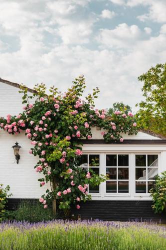 Garden, De Lindenhoeve Boutique Hotel in Sluis Garden, De Lindenhoeve Boutique Hotel in Sluis