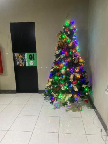 Hotel Real Centro in ซานตา เชชิเลีย Hotel Real Centro in ซานตา เชชิเลีย