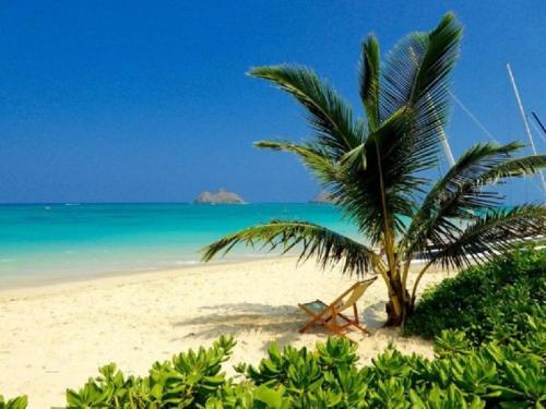 ビーチ, Modern Luxury Beach House Kailua in カイルア オアフ(HI) ビーチ, Modern Luxury Beach House Kailua in カイルア オアフ(HI)