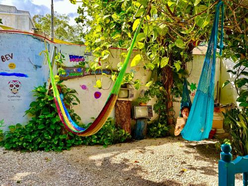 Guacamayas Hostel and Social Laundry in 聖安納 Guacamayas Hostel and Social Laundry in 聖安納