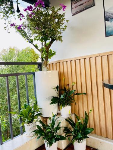 Khem Beach serviced apartment in ไบ๋ เซา Khem Beach serviced apartment in ไบ๋ เซา