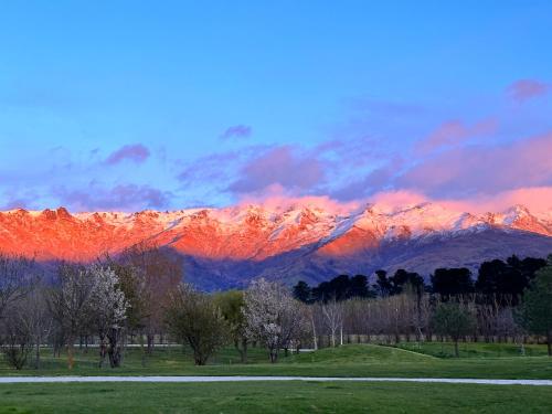 Garden, Glamping Dome - Pinot in Cromwell Garden, Glamping Dome - Pinot in Cromwell