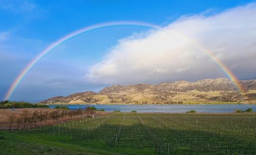 View, Glamping Dome - Pinot in Cromwell View, Glamping Dome - Pinot in Cromwell