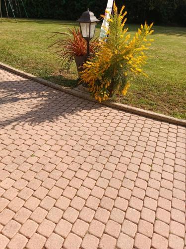Garden, Suite tout confort 80m2, cosy et elegante in Villevaude (Ile-de-France) Garden, Suite tout confort 80m2, cosy et elegante in Villevaude (Ile-de-France)