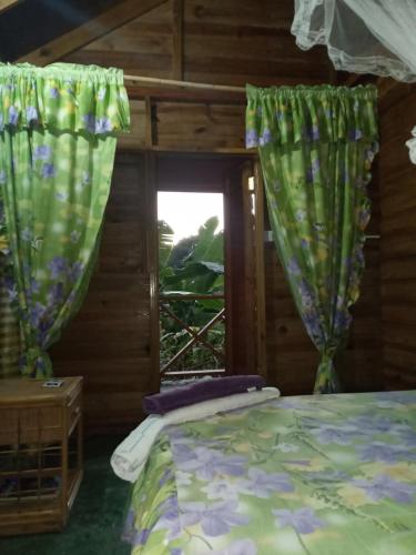 Berkey's Jungle Paradise Resort in Saint George Berkey's Jungle Paradise Resort in Saint George