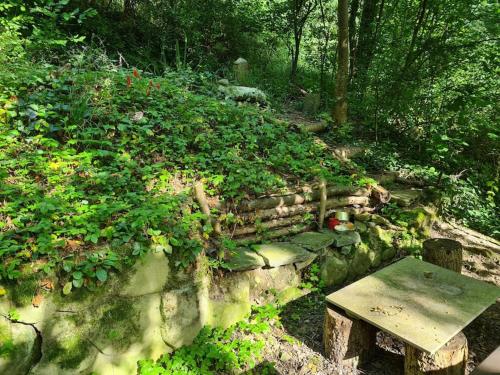 Naturoase Säntisblick-Auszeit am Wald und Bach (Naturoase Santisblick-Auszeit am Wald und Bach) in スルゲン Naturoase Säntisblick-Auszeit am Wald und Bach (Naturoase Santisblick-Auszeit am Wald und Bach) in スルゲン