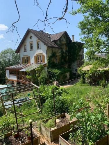 外観, Naturoase Säntisblick-Auszeit am Wald und Bach (Naturoase Santisblick-Auszeit am Wald und Bach) in スルゲン 外観, Naturoase Säntisblick-Auszeit am Wald und Bach (Naturoase Santisblick-Auszeit am Wald und Bach) in スルゲン