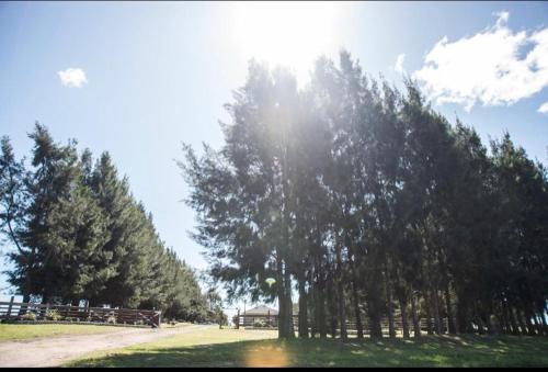 Chacra Los Arándanos (Chacra Los Arandanos) in 杜拉斯諾 Chacra Los Arándanos (Chacra Los Arandanos) in 杜拉斯諾