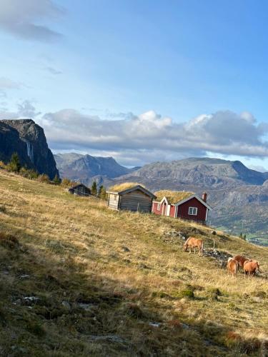 Hyggelig leilighet i sentrum in Hemsedal Hyggelig leilighet i sentrum in Hemsedal