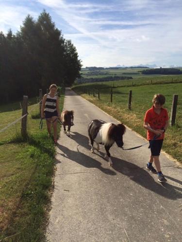 This photo about Cabane dans les arbres / Swin-golf de Cremin shared on HyHotel.com