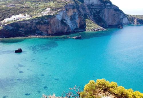 Beach, Clorinda - Immobilevante in Ponza Island Beach, Clorinda - Immobilevante in Ponza Island