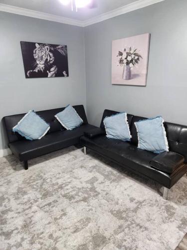 Blue Shark *G15* @ Montrose Private 1BR King Apartment in Houston (TX) Blue Shark *G15* @ Montrose Private 1BR King Apartment in Houston (TX)