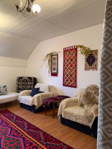 BAYRAKzone in Shabdan BAYRAKzone in Shabdan