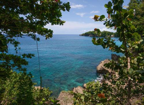Frenchman's Cove Resort in Port Antonio Frenchman's Cove Resort in Port Antonio