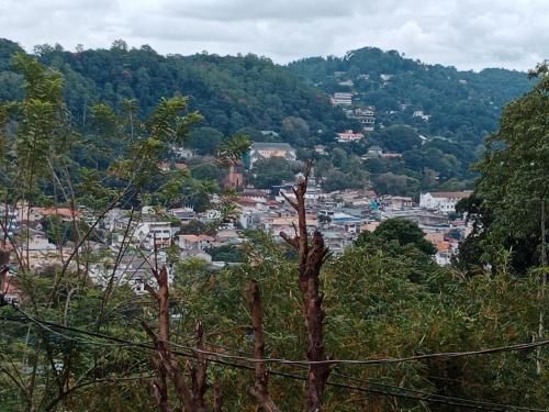 Happy Banana Homestay Room