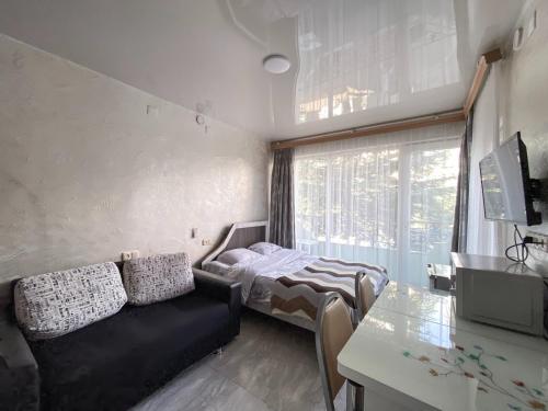 Apartment studio maksim