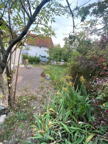 Es ist ein sehr schönes Haus (Es ist ein sehr schones Haus) in Raunheim Es ist ein sehr schönes Haus (Es ist ein sehr schones Haus) in Raunheim