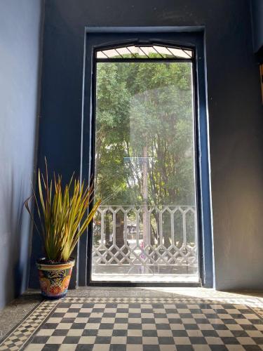 Choco Hostel in Puebla Choco Hostel in Puebla