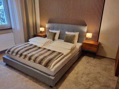 Villa with private Sauna and Jacuzzi, 8 min from Schloss Schöbrunn