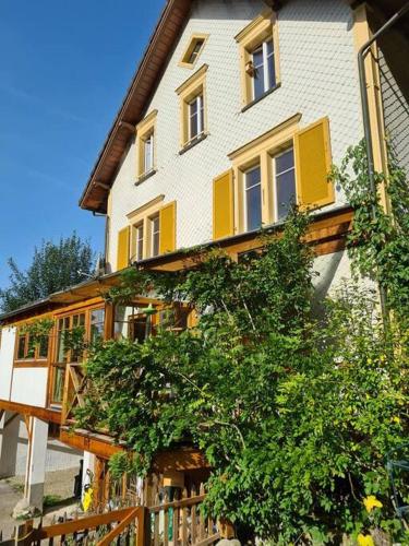 Naturoase Säntisblick-Auszeit am Wald und Bach (Naturoase Santisblick-Auszeit am Wald und Bach) in スルゲン Naturoase Säntisblick-Auszeit am Wald und Bach (Naturoase Santisblick-Auszeit am Wald und Bach) in スルゲン