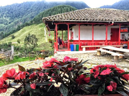 Hostal La Laguna in 엘 살라도 Hostal La Laguna in 엘 살라도