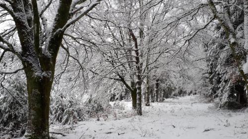 Belle Longere de 10 couchages - lac de vassiviere in Beaumont-du-Lac Belle Longere de 10 couchages - lac de vassiviere in Beaumont-du-Lac