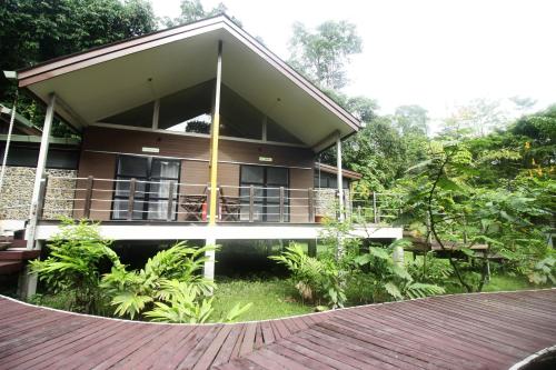 Mulu National Park in Mulu Mulu National Park in Mulu