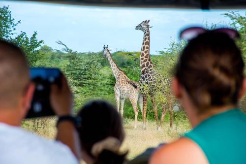 Safari Residence Lake Manyara in Mto Wa Mbu Safari Residence Lake Manyara in Mto Wa Mbu