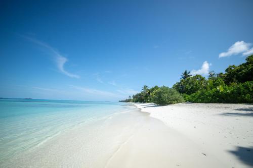 Beach, Whaleshark Beach in South Ari Atoll Beach, Whaleshark Beach in South Ari Atoll
