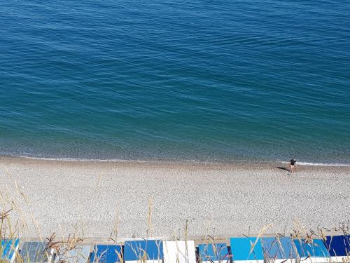 Beach, Le Palmier des Rochers in Saint Leonard Beach, Le Palmier des Rochers in Saint Leonard