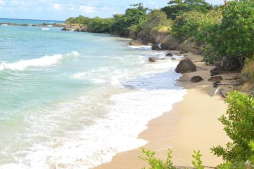 Welcome to our Ocean View Villa! in Lucea Welcome to our Ocean View Villa! in Lucea