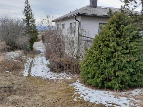 Apartment am Waldrand mit Fernblick in Hohe Wand Apartment am Waldrand mit Fernblick in Hohe Wand