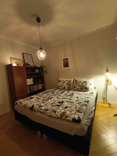 Scandinavian design apartment in the center