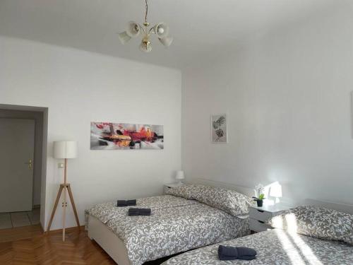 Sunny & Calm Apartment