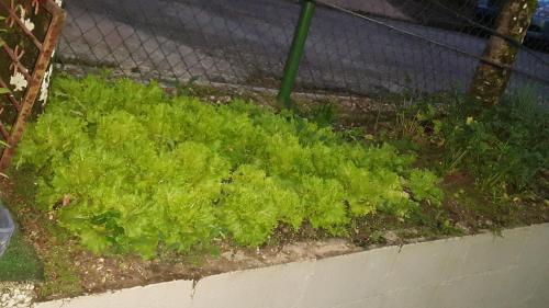 This photo about Mc Haven Resort shared on HyHotel.com