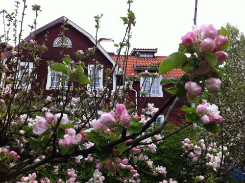숙소 외관, Stockholm B&B Cottage in 낙가 숙소 외관, Stockholm B&B Cottage in 낙가