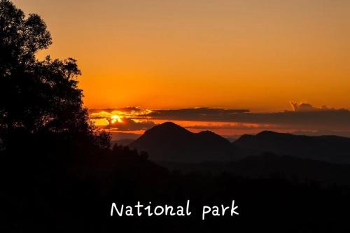 JUNGLE LIFE GUEST HOUSE - Trekking & Transport Only Book With Us in Bukit Lawang JUNGLE LIFE GUEST HOUSE - Trekking & Transport Only Book With Us in Bukit Lawang