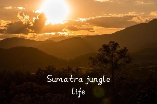 JUNGLE LIFE GUEST HOUSE - Trekking & Transport Only Book With Us in Bukit Lawang JUNGLE LIFE GUEST HOUSE - Trekking & Transport Only Book With Us in Bukit Lawang