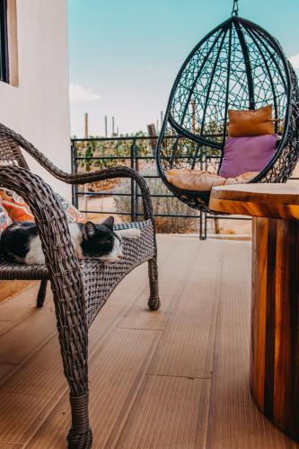 المرافق, Contemplacion Resort & Spa in انسنادا المرافق, Contemplacion Resort & Spa in انسنادا