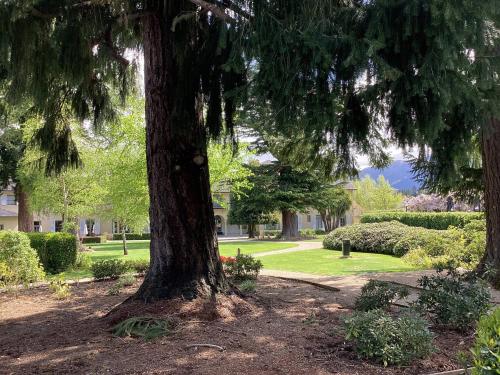 Hage, Hanmer Garden Suites in Hanmer Springs Hage, Hanmer Garden Suites in Hanmer Springs