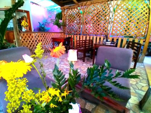 A szálláshely kívülről, Hotel Rosalila in Copan Ruinas A szálláshely kívülről, Hotel Rosalila in Copan Ruinas