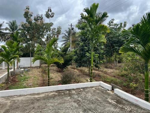 River House Farmstay in Srirangapatna River House Farmstay in Srirangapatna