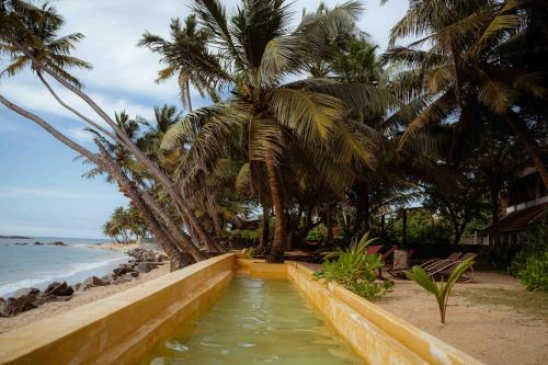 مسبح, أمورا بيتش هاوس (Amuura Beach House) in وسط مدينة بيروالا مسبح, أمورا بيتش هاوس (Amuura Beach House) in وسط مدينة بيروالا