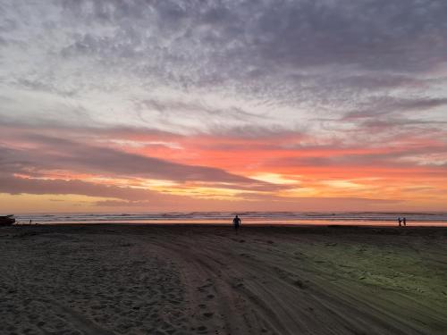 ชายหาด, #40 At The Beach in ไวทาเรเรบีช ชายหาด, #40 At The Beach in ไวทาเรเรบีช