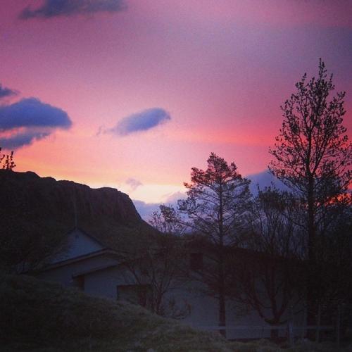สภาพแวดล้อมโดยรอบ, Guesthouse Stekkatun in ฮอร์นนาฟเยอเดิร สภาพแวดล้อมโดยรอบ, Guesthouse Stekkatun in ฮอร์นนาฟเยอเดิร