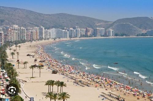 Centrico Apartamento Nova Bega cerca del mar