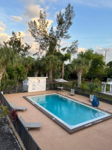 Úszómedence, Budget Inn in Punta Gorda (Florida) Úszómedence, Budget Inn in Punta Gorda (Florida)
