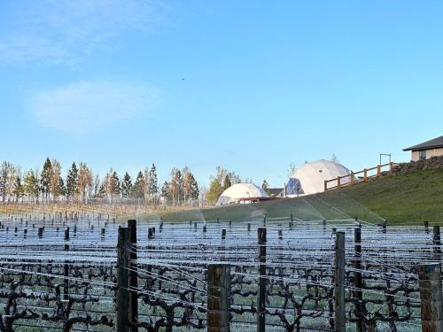 Surrounding environment, Glamping Dome - Rose in Cromwell Surrounding environment, Glamping Dome - Rose in Cromwell