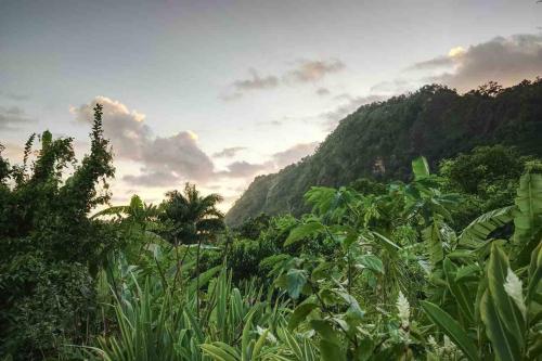 Nas proximidades, Aura Dominica in Saint George Nas proximidades, Aura Dominica in Saint George